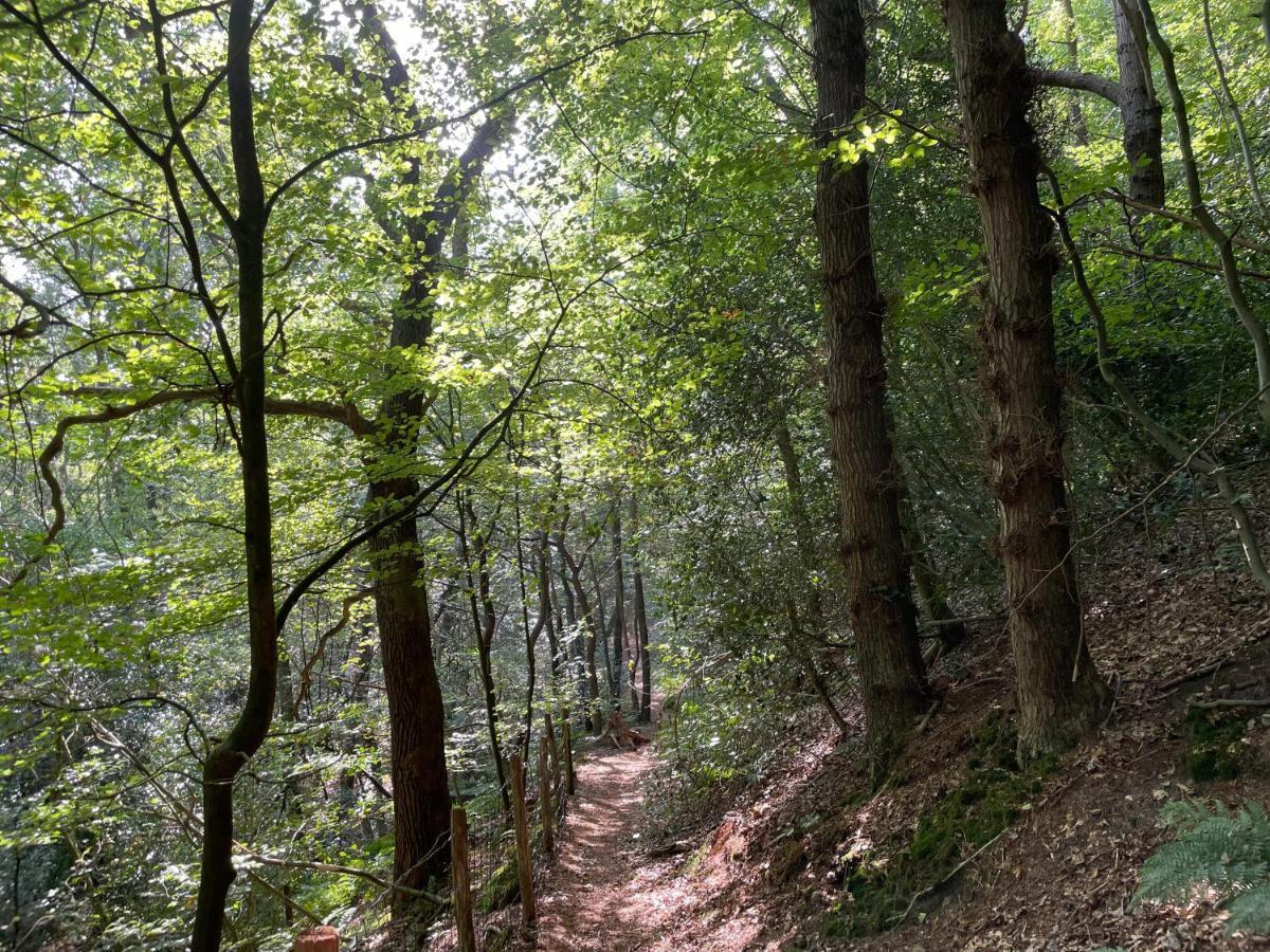 The Forester Schoorl Ngoại thất bức ảnh